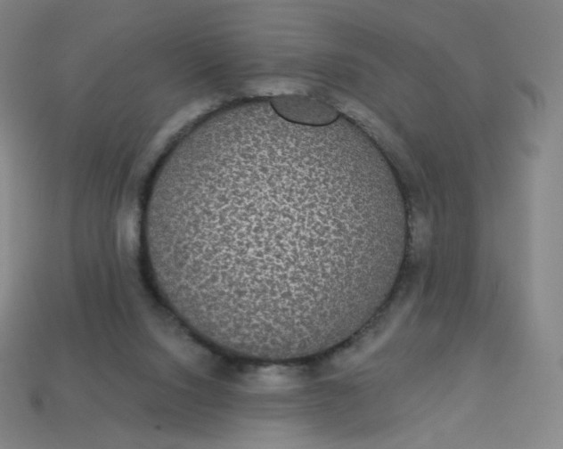 X0000113550064200910091312