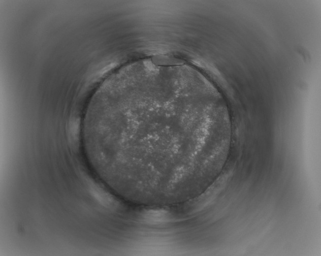 X0000113550066200910091312
