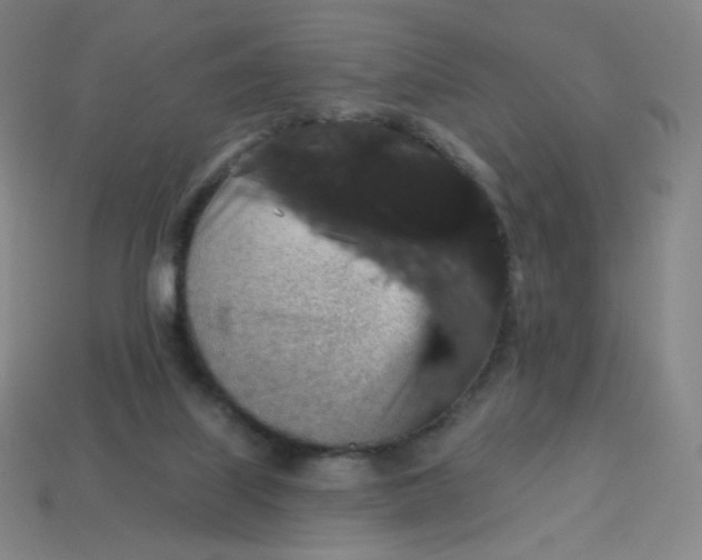 X0000113550067200910091312