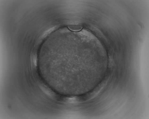 X0000113550068200910091312