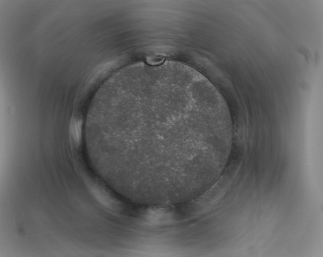 X0000113550070200910091312