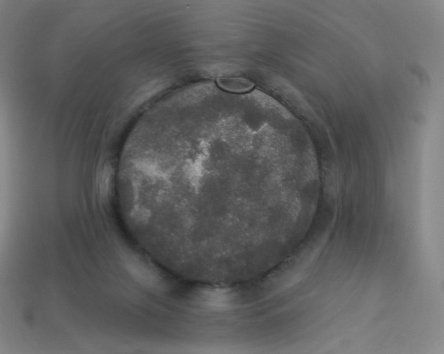 X0000113550071200910091312