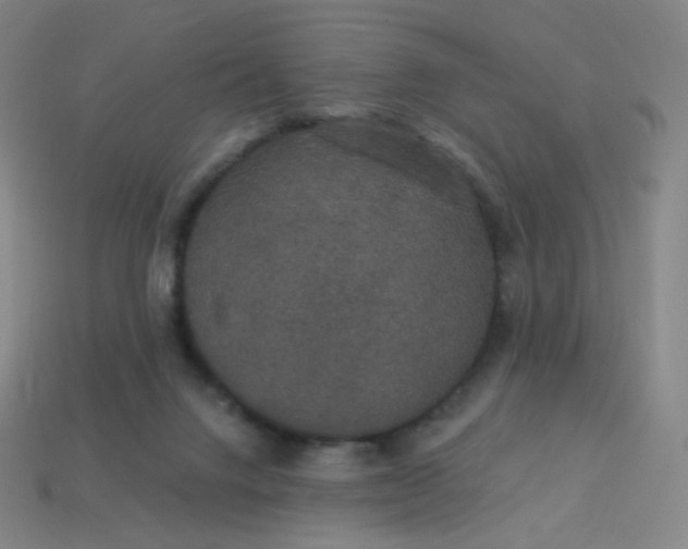 X0000113550072200910091312