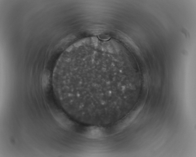 X0000113550073200910091312