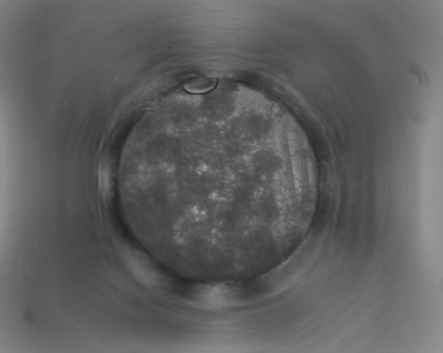 X0000113550074200910091312