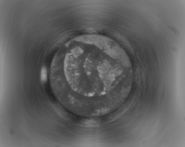 X0000113550075200910091312