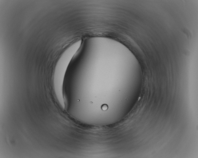X0000113550076200910091312