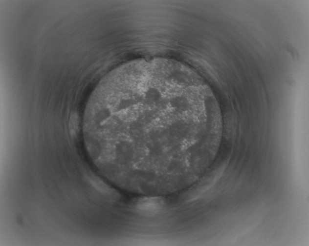 X0000113550077200910091312