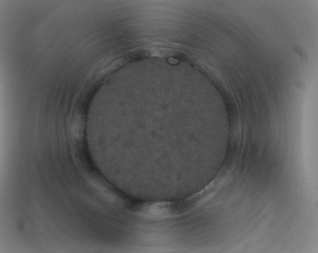 X0000113550078200910091313