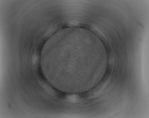 X0000113550079200910091313