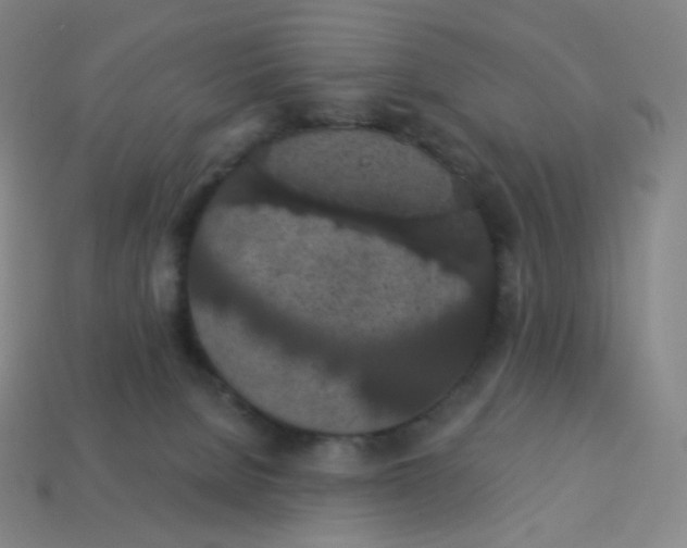 X0000113550080200910091313