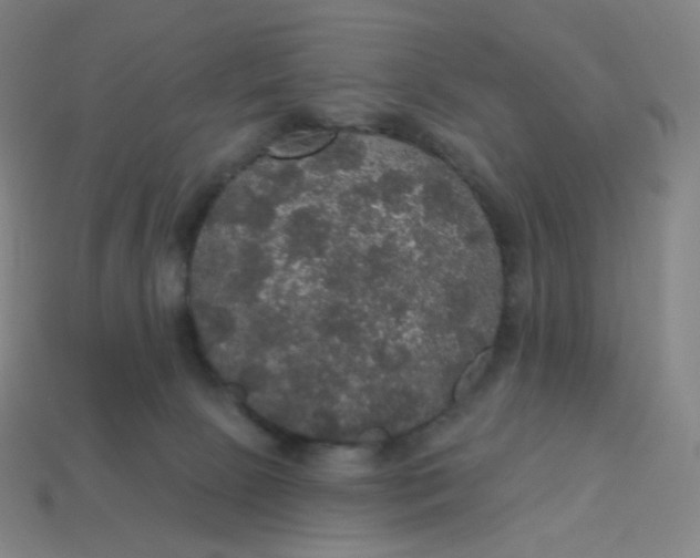 X0000113550081200910091313