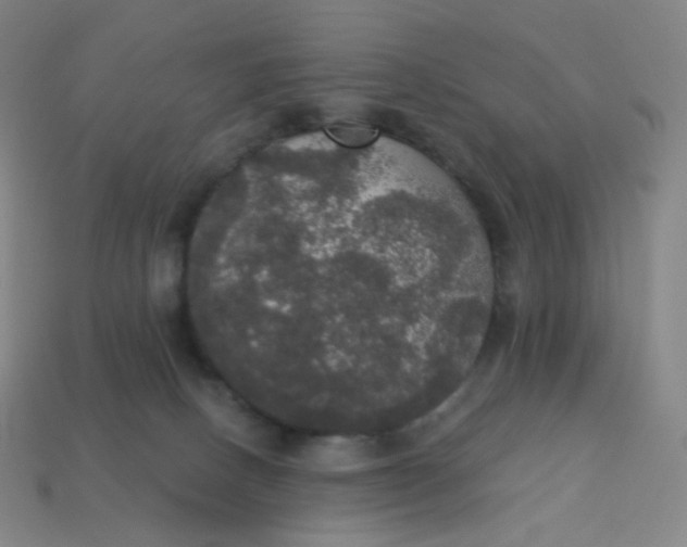 X0000113550082200910091313