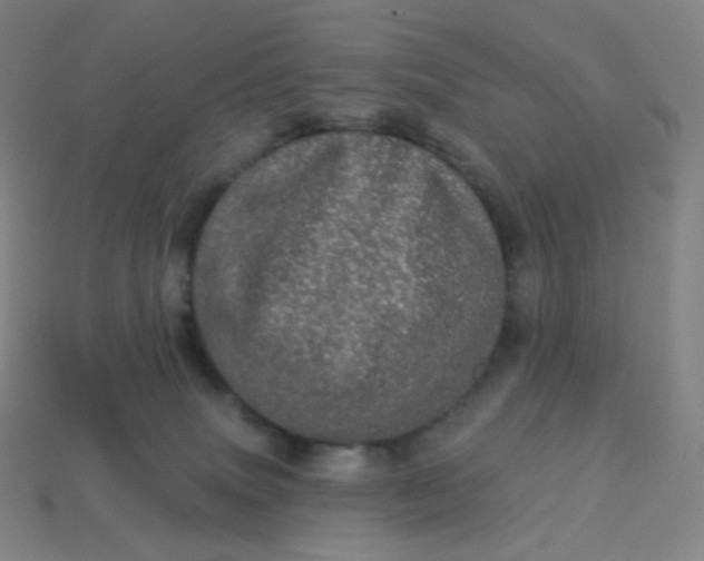 X0000113550083200910091313