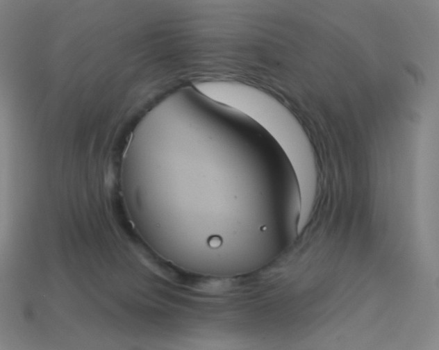 X0000113550084200910091313