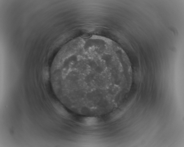 X0000113550085200910091313