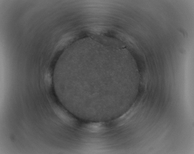 X0000113550086200910091313