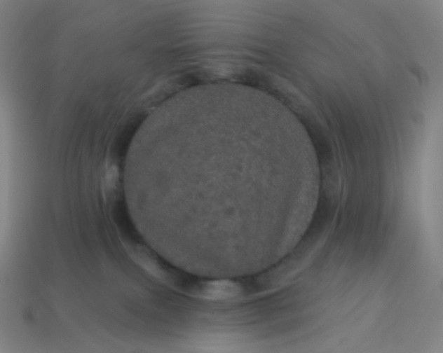 X0000113550087200910091313