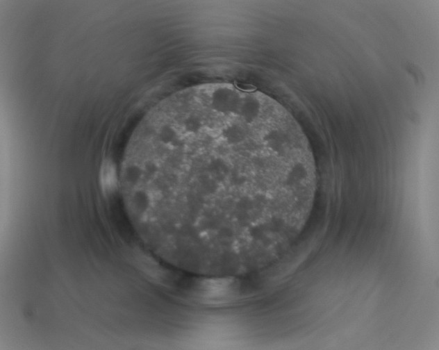 X0000113550089200910091313