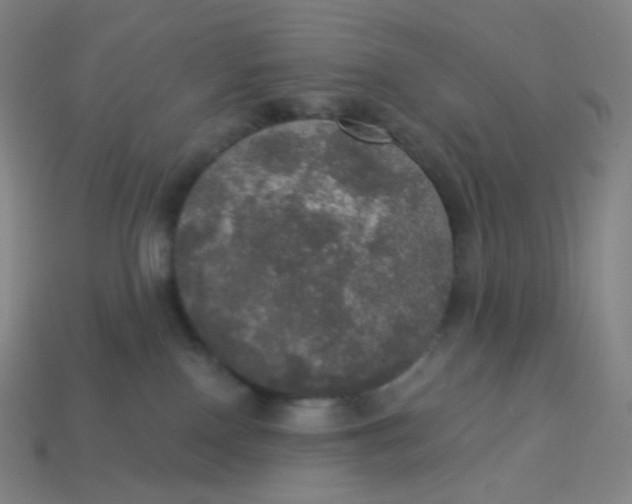 X0000113550090200910091313