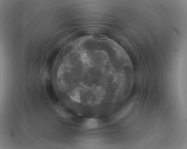 X0000113550091200910091313