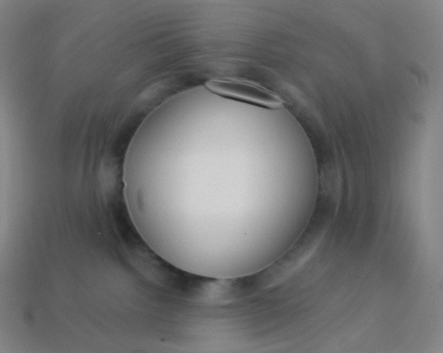 X0000113550092200910091313