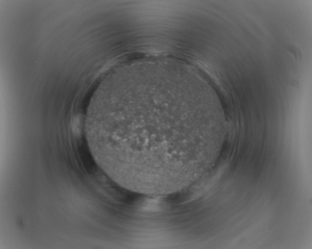 X0000113550093200910091313