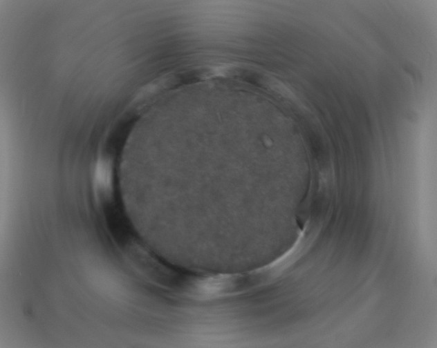 X0000113550094200910091313