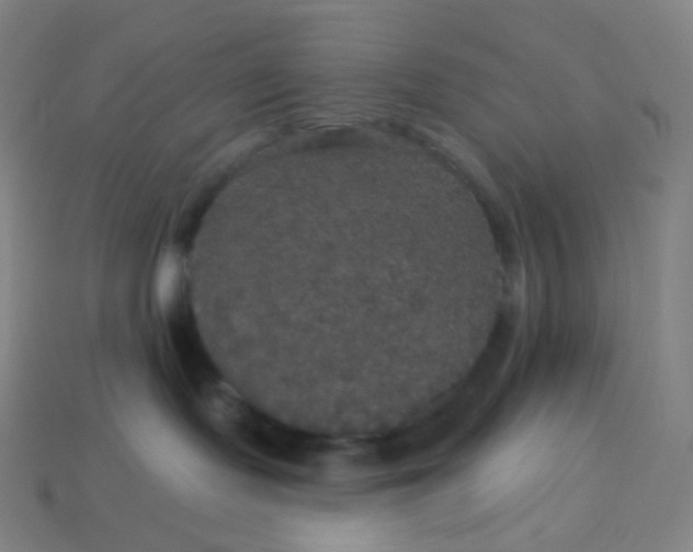 X0000113550095200910091313