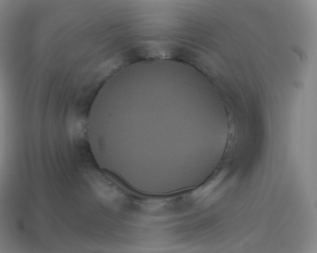 X0000113550096200910091313