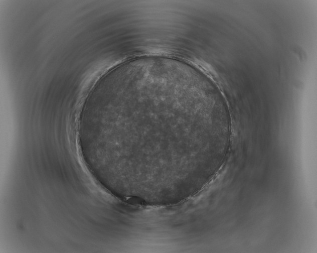 X0000113550097200910091312