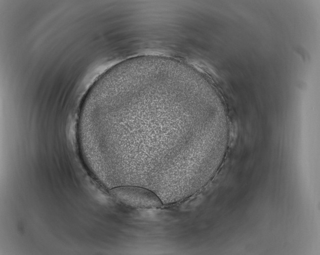 X0000113550098200910091312