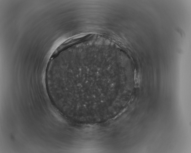 X0000113550099200910091312