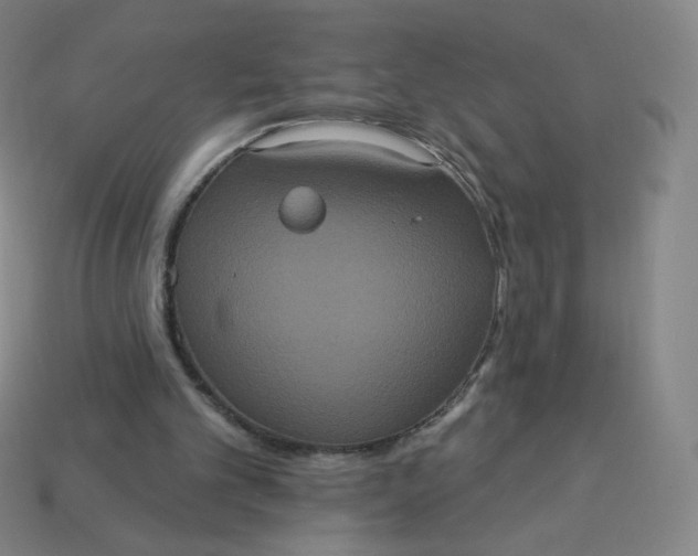X0000113550101200910091312
