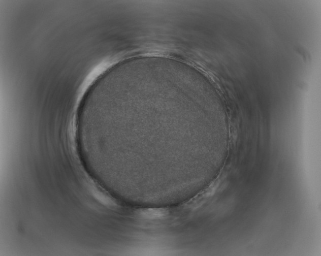 X0000113550102200910091312