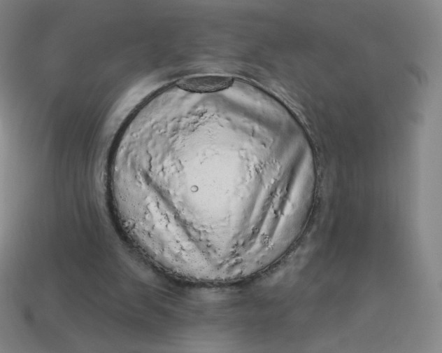 X0000113550103200910091312