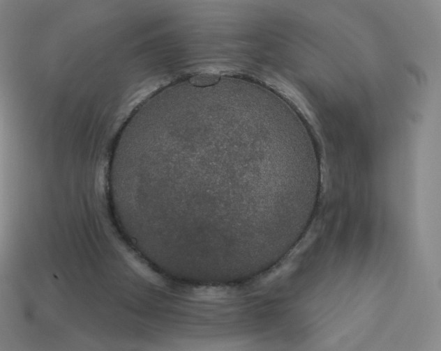 X0000113550105200910091312