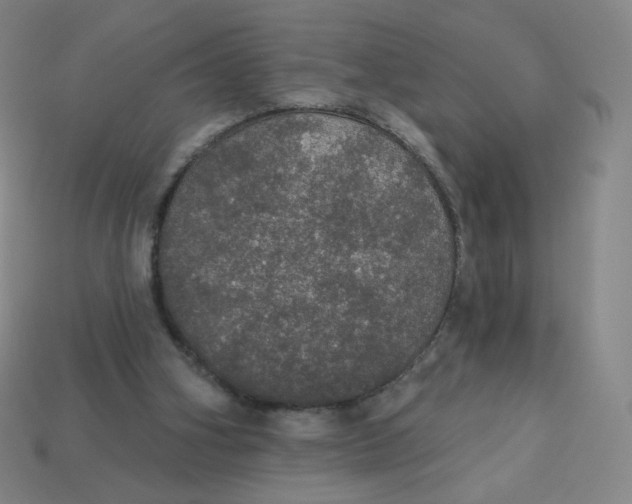 X0000113550106200910091312