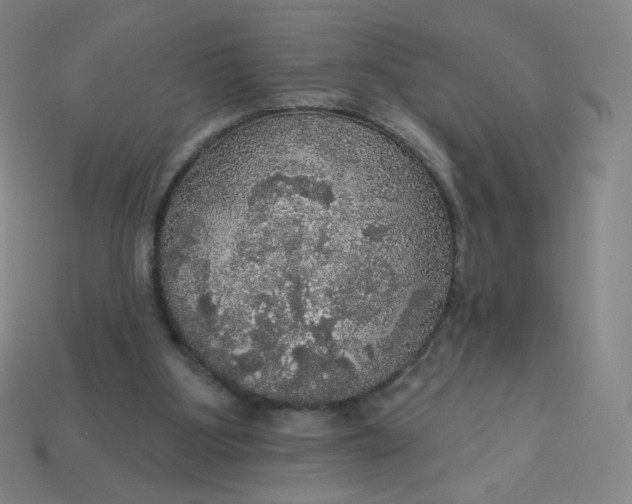 X0000113550107200910091312