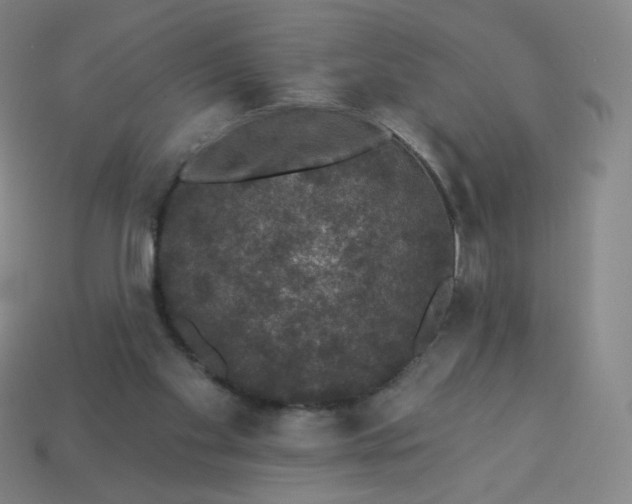 X0000113550109200910091312