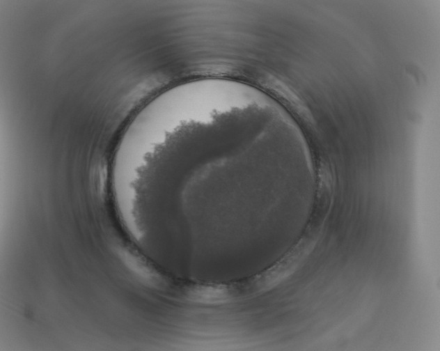 X0000113550110200910091312