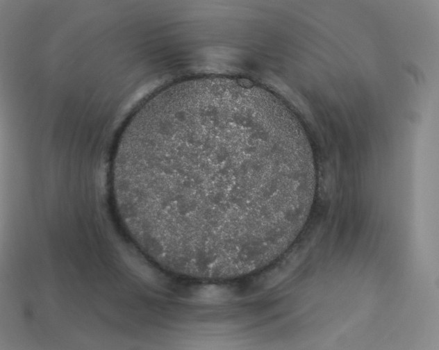 X0000113550111200910091312