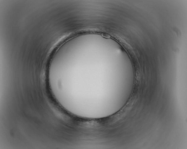 X0000113550112200910091312