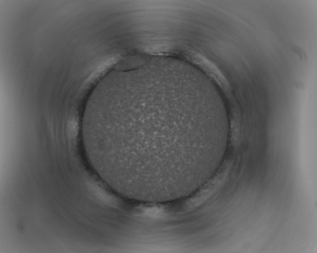 X0000113550113200910091312
