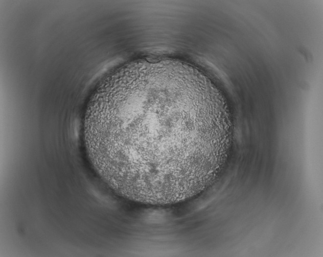 X0000113550115200910091312