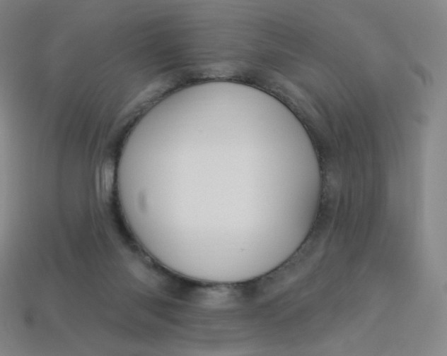 X0000113550118200910091312