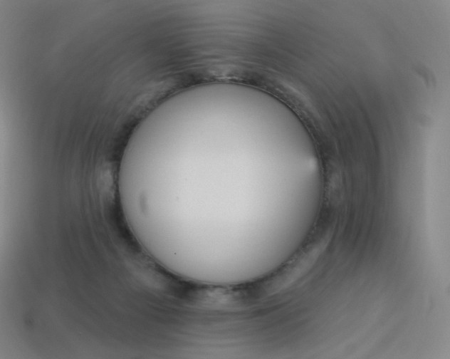 X0000113550121200910091312