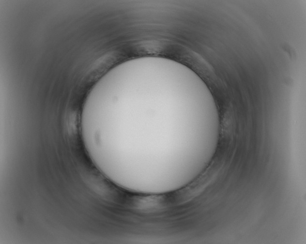 X0000113550122200910091312