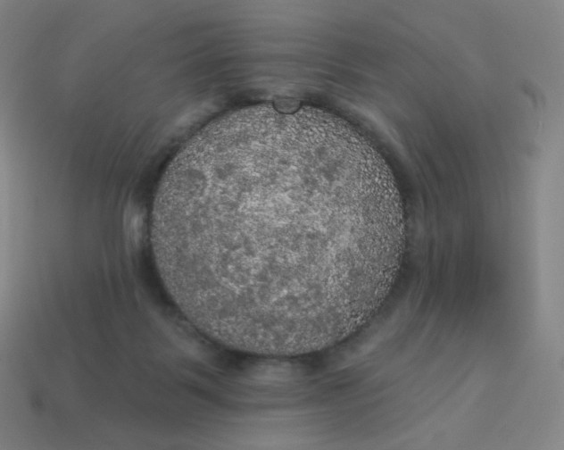 X0000113550123200910091312
