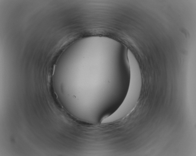 X0000113550124200910091312
